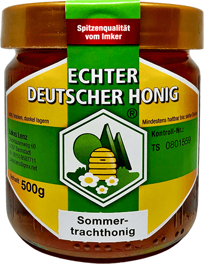 Bienennest auf einem Baum