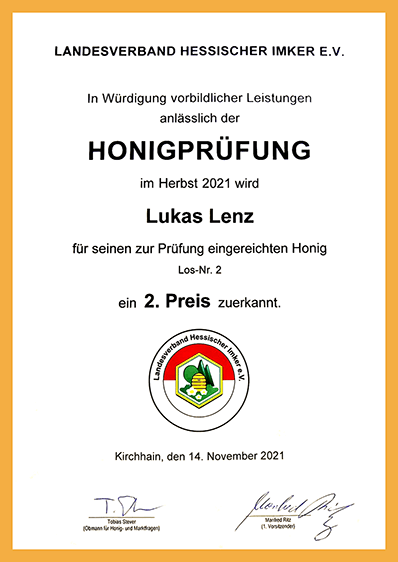 Bienennest auf einem Baum