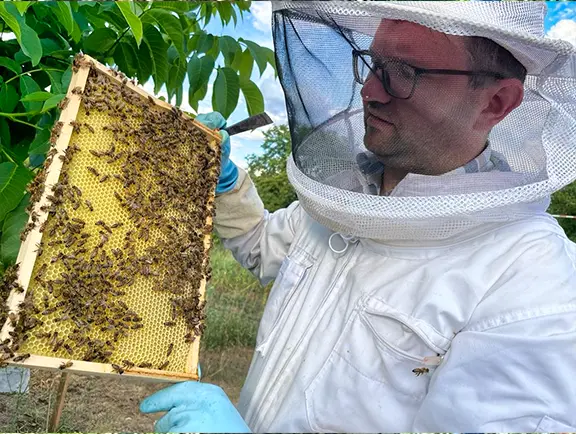 Imkerei Lenz Galerie Bild 2